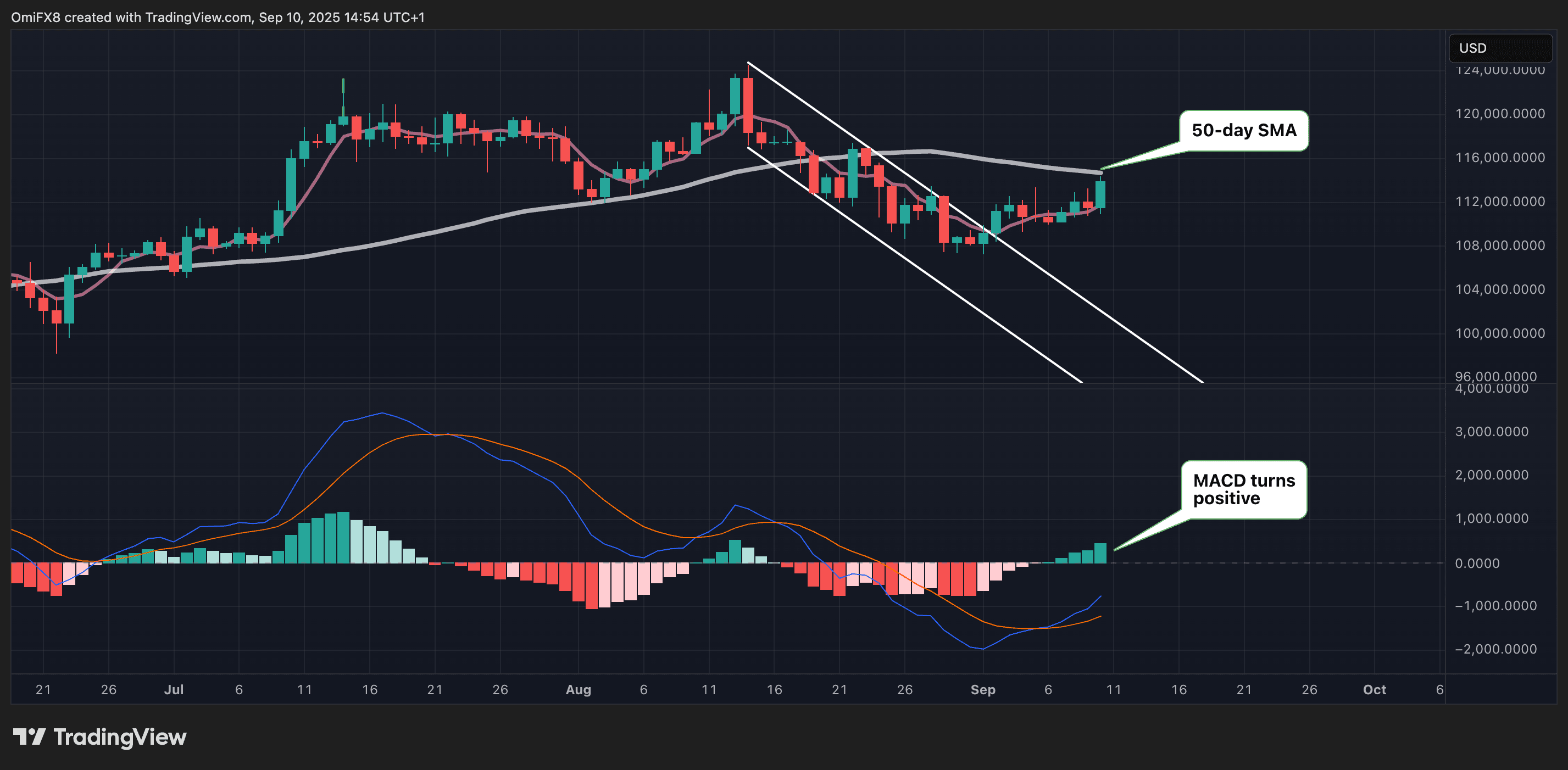 BTC's daily chart shows renewed upward price momentum. (Tradingview/CoinDesk)