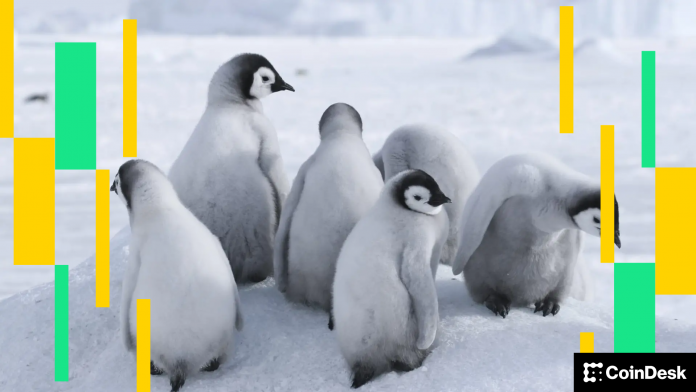 4a66f6ae52123f51b3935d49af3f78262b9b9047-1919x1080-1