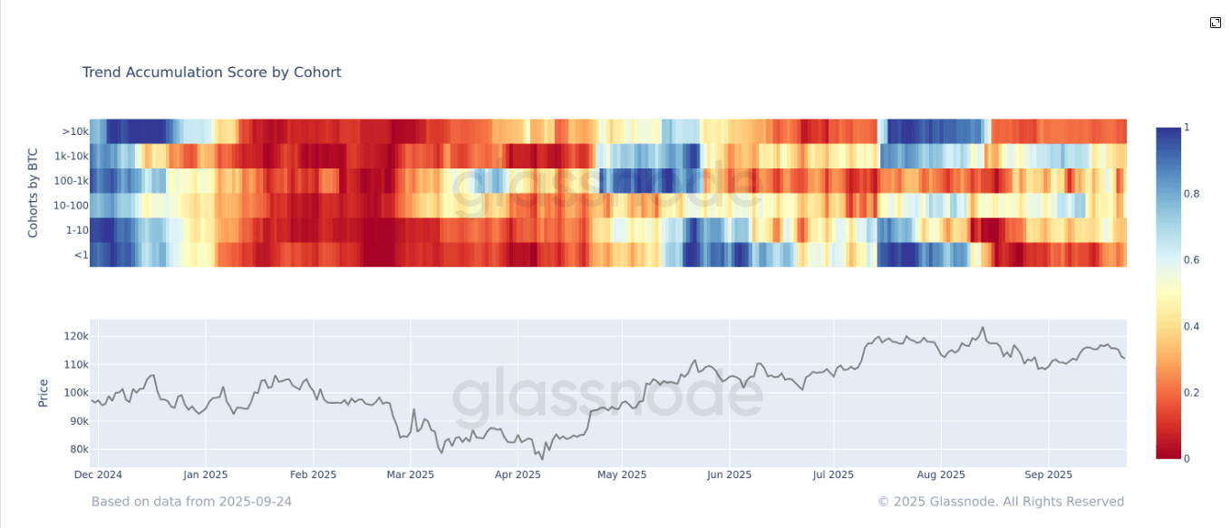 Trend Accumulation Score by Cohort (Glassnode)