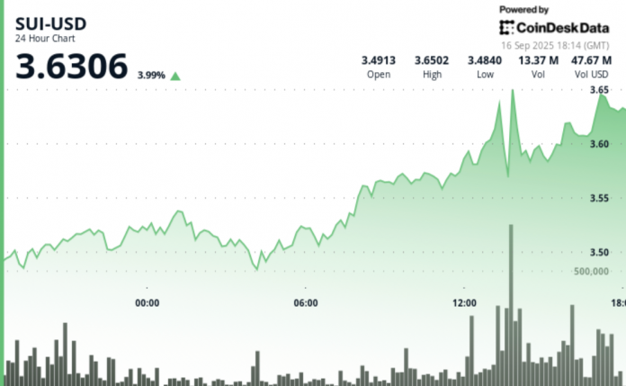 82827158e367ab25c3dd91d26c3622bc026614d2-1114x686-1