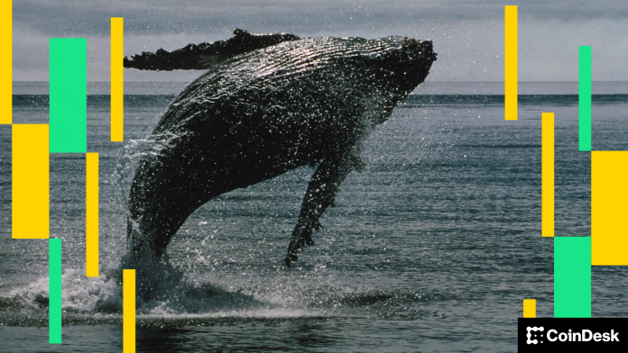 84b048846e91951e50249c1dbfcd9271b4a185fc-1920x1080-1