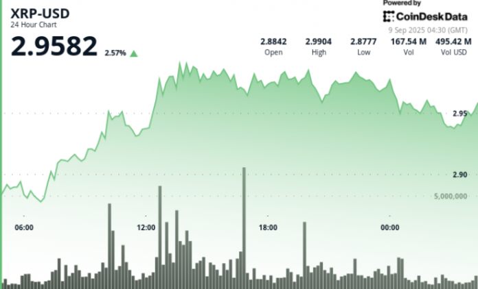 e2167a9dbd86495f174332bc9298ddb98e303cf9-736x446-1